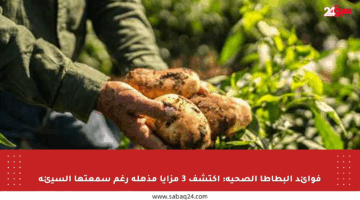 فوائد البطاطا الصحية: اكتشف 3 مزايا مذهلة رغم سمعتها السيئة